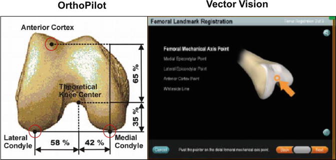 A314755_1_En_16_Fig2_HTML.jpg