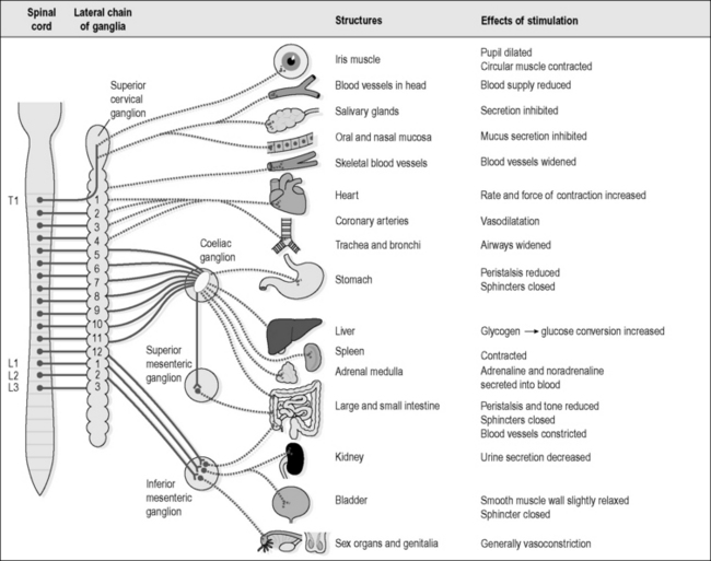 Diseases of the nervous system | Musculoskeletal Key