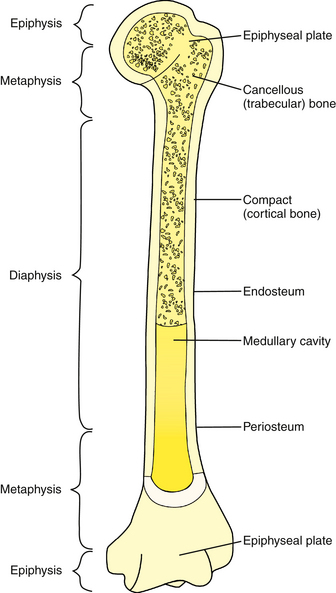 Common Issues in Orthopedics | Musculoskeletal Key