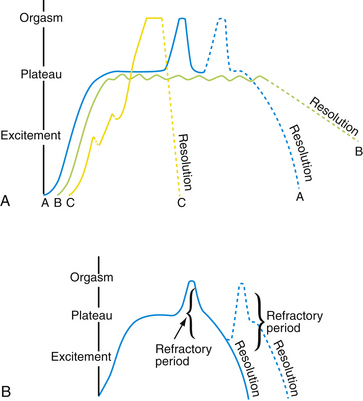 Medical Human Sexuality Musculoskeletal Key