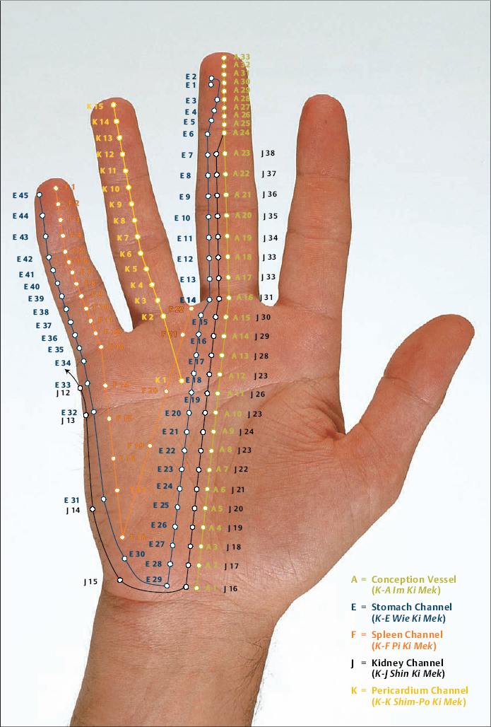 Korean Hand Acupuncture Musculoskeletal Key