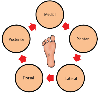 Tips, Tricks, and Management Algorithm for Foot and Ankle Injuries