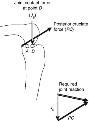 Potential Mechanism of PTA: Alterations in Joint Loading ...