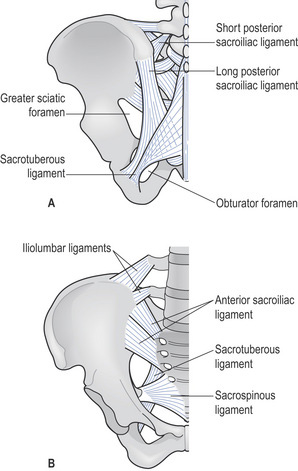 1: Neuromusculoskeletal anatomy | Musculoskeletal Key