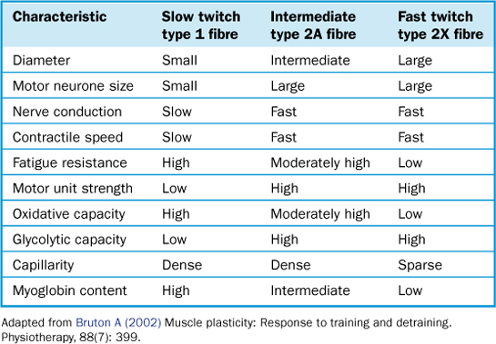 to Eexercise Pphysiology | Musculoskeletal Key