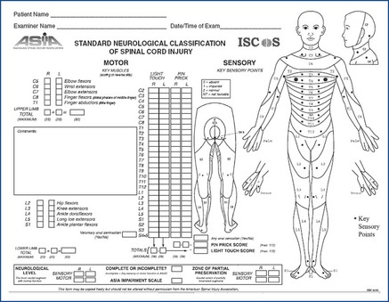 Spinal Cord Injuries | Musculoskeletal Key