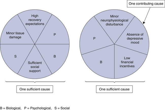 Epidemiology Of Whiplash Associated Disorders | Musculoskeletal Key