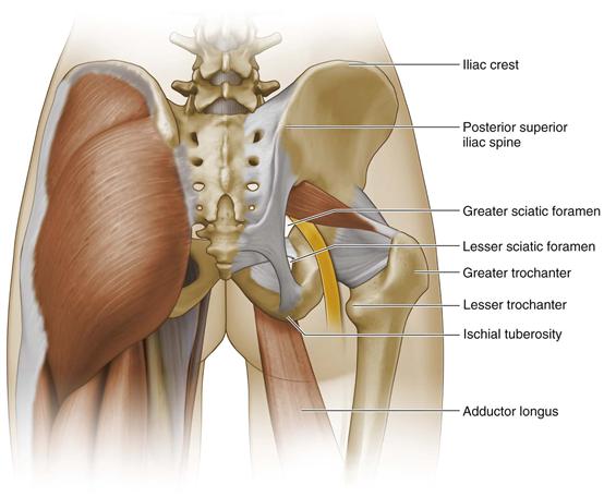 posterior superior iliac spine
