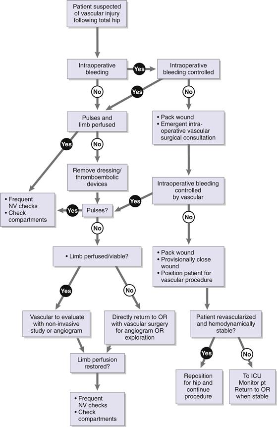 Preoperative Planning And Templating For Primary Hip Arthroplasty ...