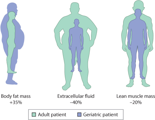 Fat distribution and aging