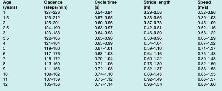 Table 3. Mean stride width b and its standard