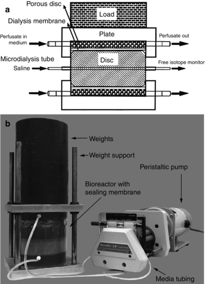 A217142_1_En_22_Fig3_HTML.jpg