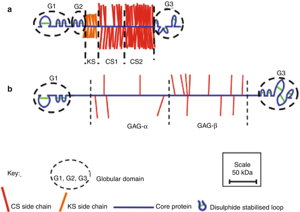 A217142_1_En_4_Fig3_HTML.gif