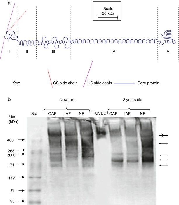 A217142_1_En_4_Fig6_HTML.jpg