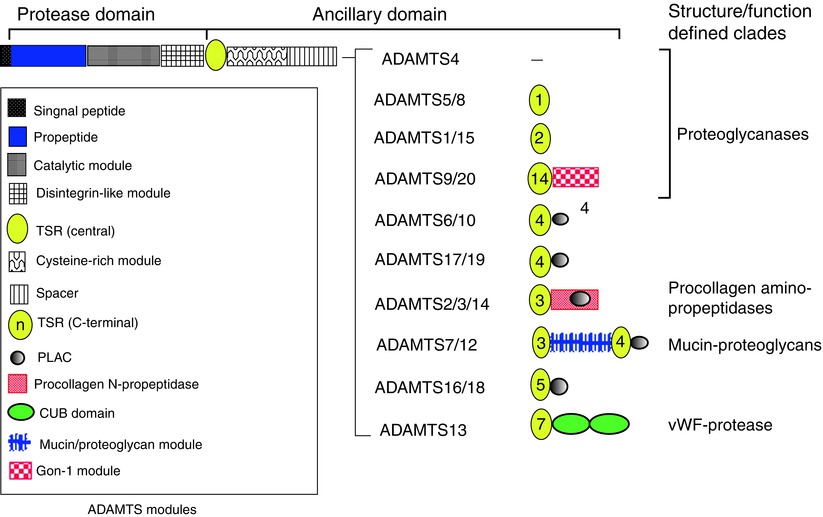 A217142_1_En_8_Fig2_HTML.jpg