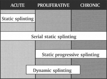 static vs dynamic splint