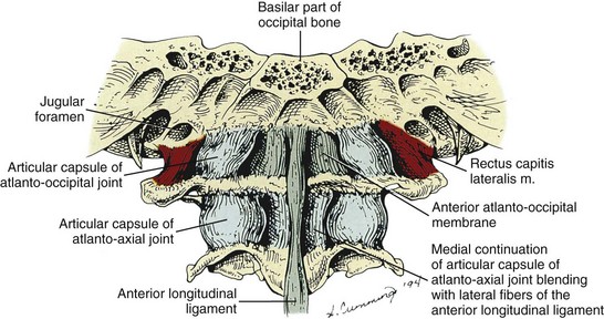 anterior atlanto occipital membrane