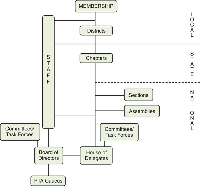 Physical Therapy Organizational Chart