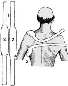What is the difference between a shoulder girdle and a shoulder joint? -  Quora