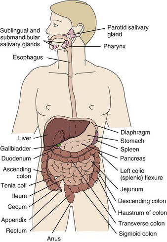 gastrointestinal disorders