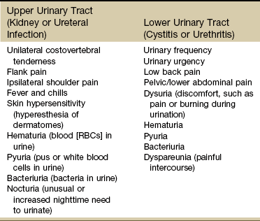 urinary tract urogenital