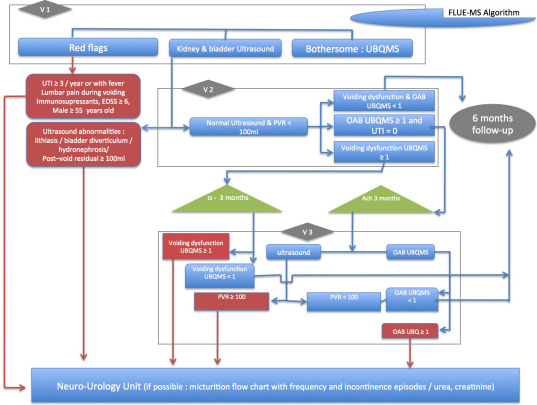 Clinical and urodynamic evaluations of urinary disorders in multiple ...