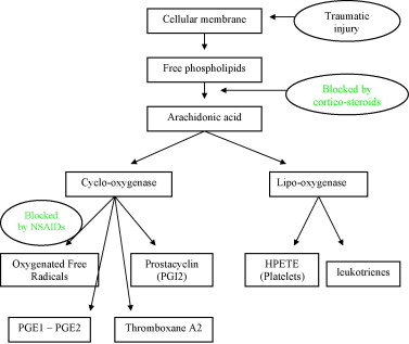 NSAIDs (non-steroidal anti-inflammatory drugs) for Tailbone Pain