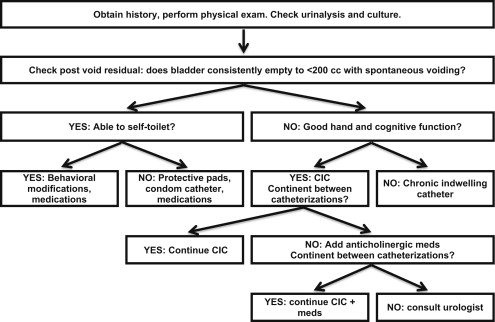 Spasticity Management In Multiple Sclerosis Musculoskeletal Key