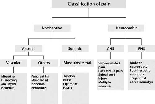 Pain | Musculoskeletal Key