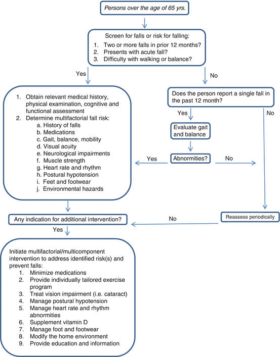 Bone And Fall-Related Fracture Risk | Musculoskeletal Key