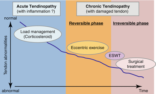 Pathogenesis And Treatment Of Patellar Tendinopathy | Musculoskeletal Key