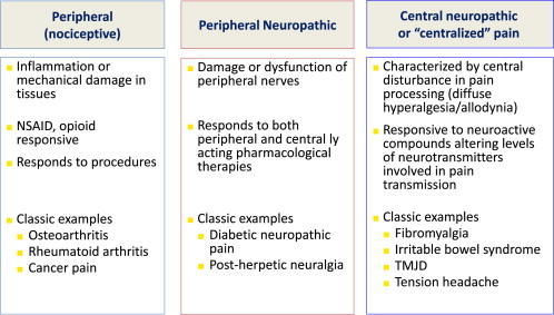 Diagnosing And Treating Chronic Musculoskeletal Pain Based On The ...