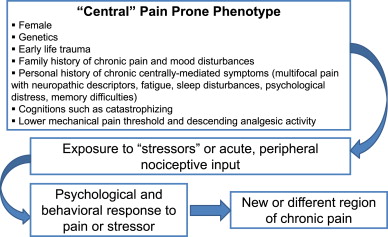 Diagnosing And Treating Chronic Musculoskeletal Pain Based On The ...