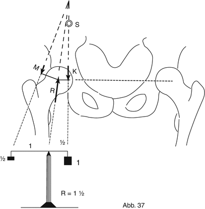 Biomechanics Of The Hip | Musculoskeletal Key