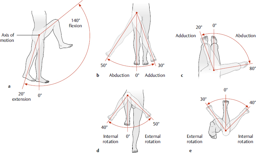 Sports Medicine And Lower Extremity Sports | Musculoskeletal Key