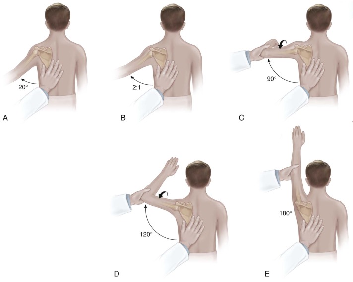 The Orthopaedic Examination: A Comprehensive Overview | Musculoskeletal Key