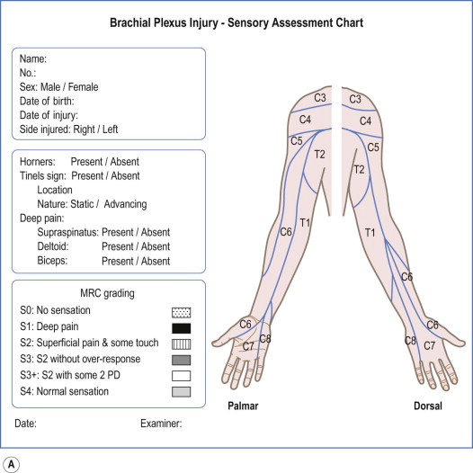 Clinical Examination And Diagnosis | Musculoskeletal Key