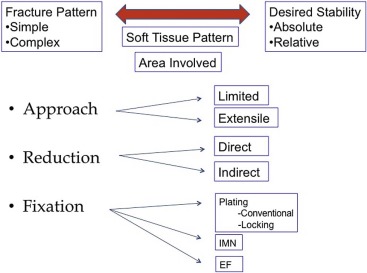 Principles Of Internal Fixation | Musculoskeletal Key