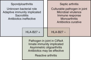 Reactive Arthritis | Musculoskeletal Key