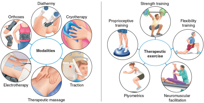 Rehabilitation | Musculoskeletal Key