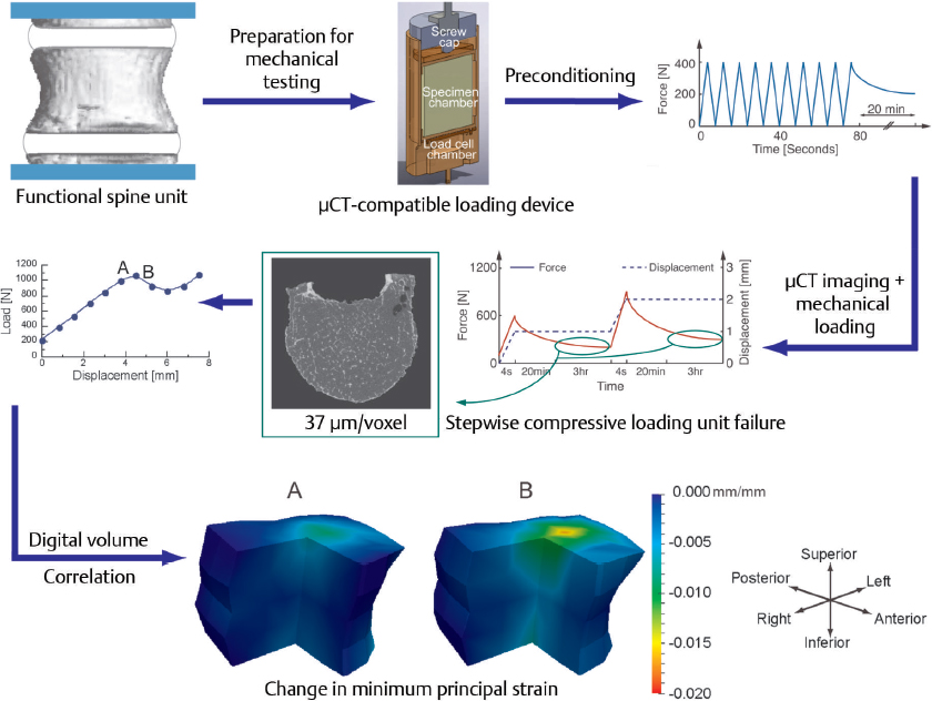 25 Micro-Computed Tomography Imaging Of Bone Tissue | Musculoskeletal Key