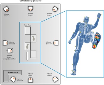 Chapter 2 – Biomechanics Of The Foot And Ankle | Musculoskeletal Key