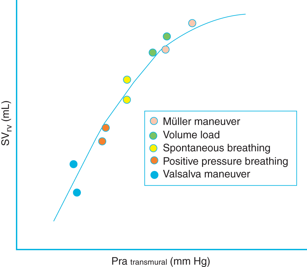 Cardiopulmonary Interactions | Musculoskeletal Key