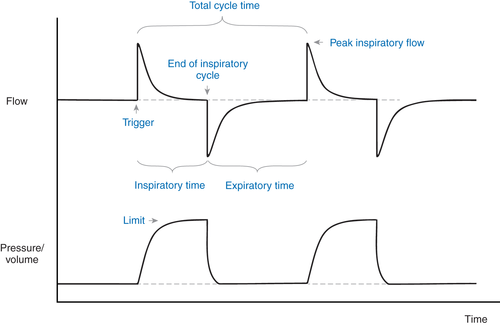 Mechanical Ventilation And Respiratory Care | Musculoskeletal Key