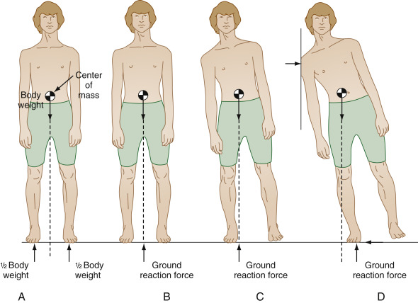 Biomechanics | Musculoskeletal Key