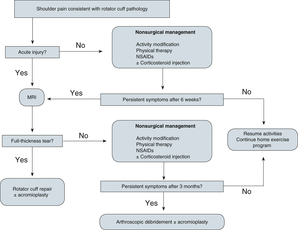 A) Schematic illustration of arthroscopic rotator cuff repair with