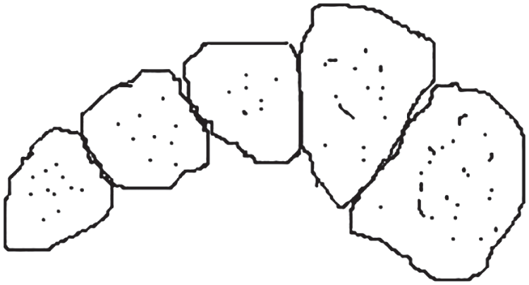 Schematic illustration of the  Roman arch configuration of the Lisfranc complex.