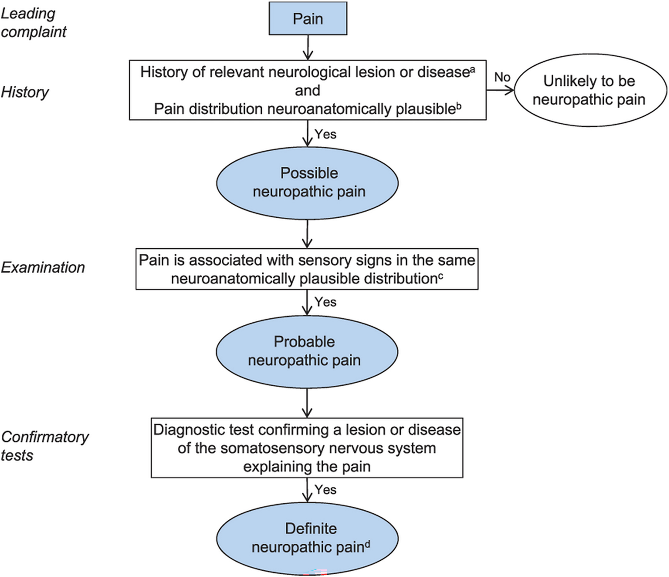 A flowchart depicts the updated I A S P grading system, classifying neuropathic pain stepwise from possible to probable and definite based on clinical findings.
