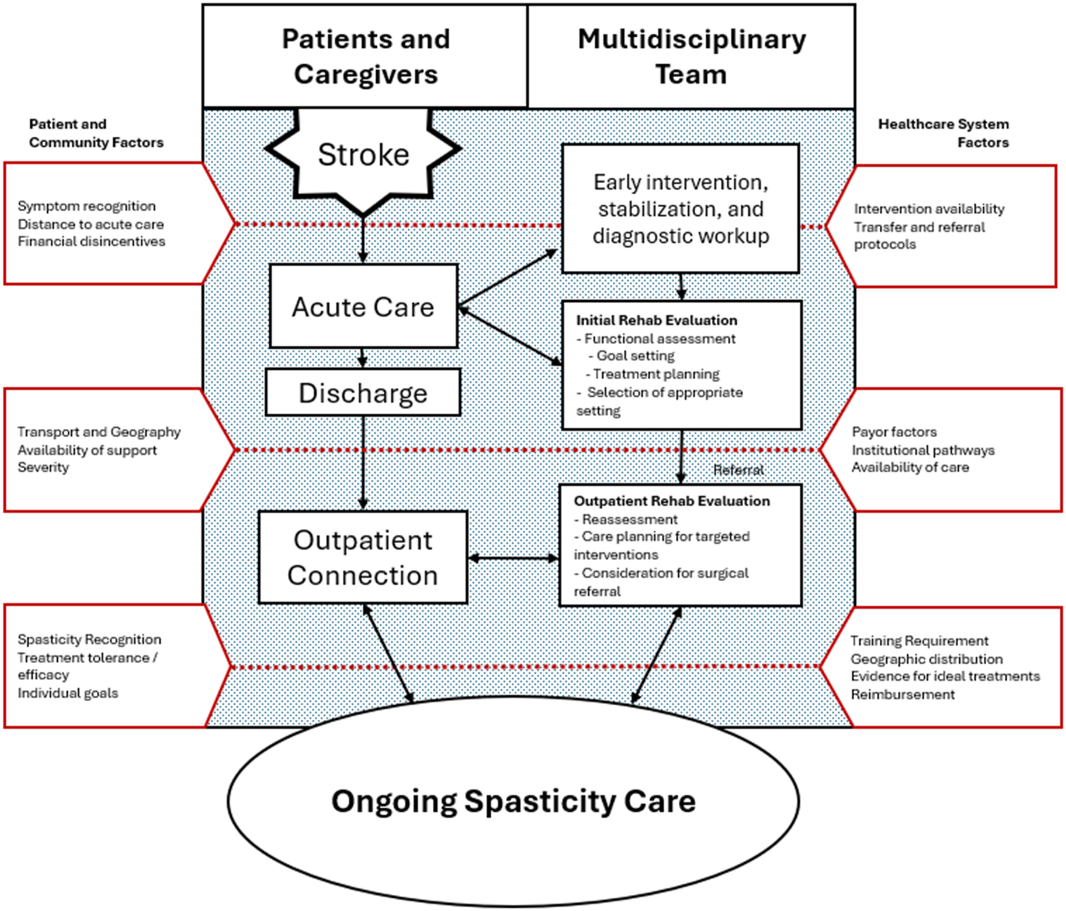 A flowchart depicts the pathway from stroke and acute care to ongoing spasticity management with patient, community, and health system barriers.