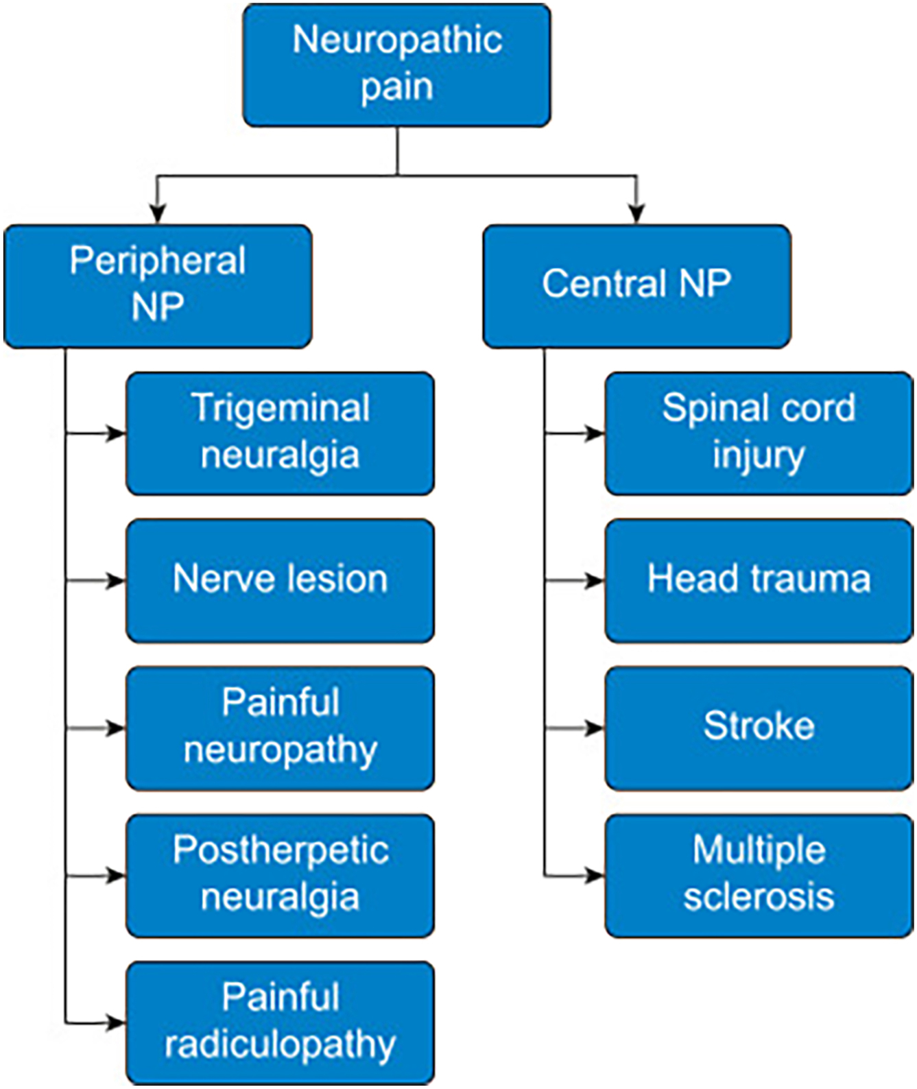 A hierarchical chart depicts the classification of neuropathic pain into peripheral types, such as trigeminal neuralgia, and central types like spinal cord injury.